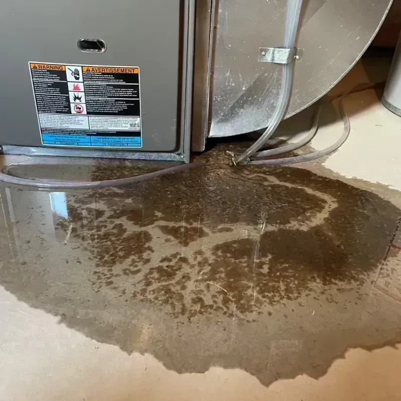 Appliance Leak Cleanup in Mack, OH